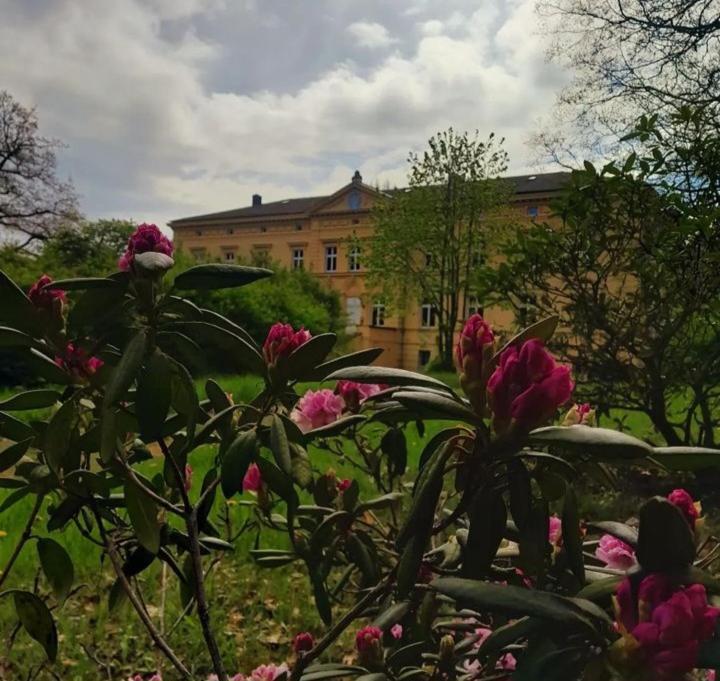 Schloss Tressow Bobitz Exteriér fotografie